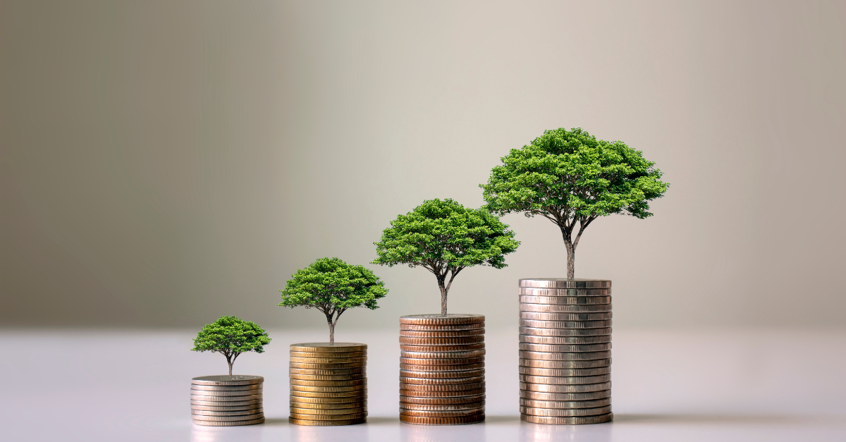 Sustainable eCommerce: Balancing Profitability and Environmental Responsibility